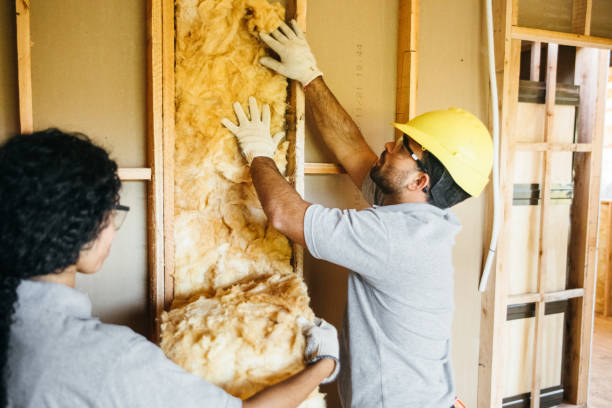 Best Commercial Insulation Services  in Pontoon Beach, IL